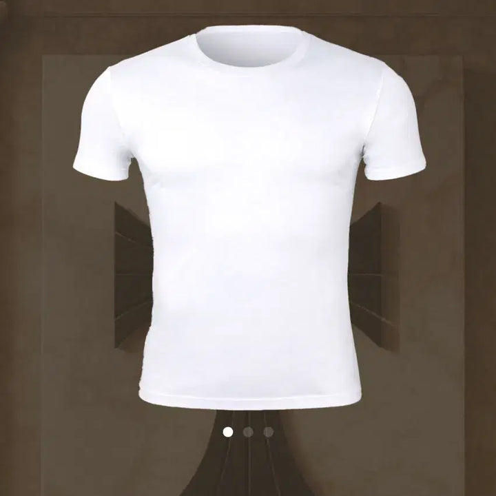[BUNJANG] Rapinato Etoile Silky Muscle Fit T-shirt / 라피나토 에뚜알 실키 머슬핏 티셔츠(52) 새상품