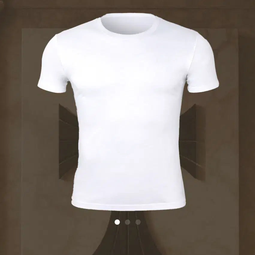 [BUNJANG] Rapinato Etoile Silky Muscle Fit T-shirt / 라피나토 에뚜알 실키 머슬핏 티셔츠(52) 새상품