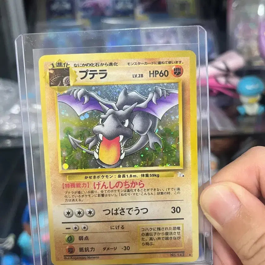[BUNJANG] Pokemon Aerodactyl First Edition Trading Card / (스월마크)일판 포켓몬 초판 프테라카드