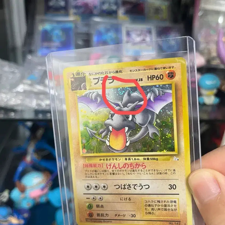 [BUNJANG] Pokemon Aerodactyl First Edition Trading Card / (스월마크)일판 포켓몬 초판 프테라카드