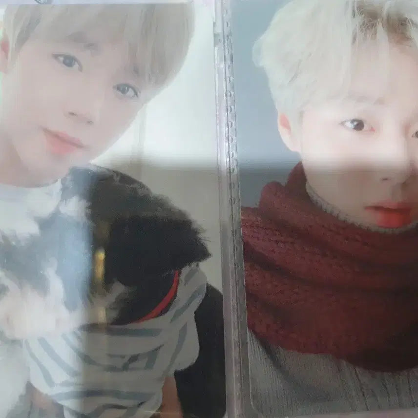 [SOLD OUT] 박지훈 2020시그 일괄 판매