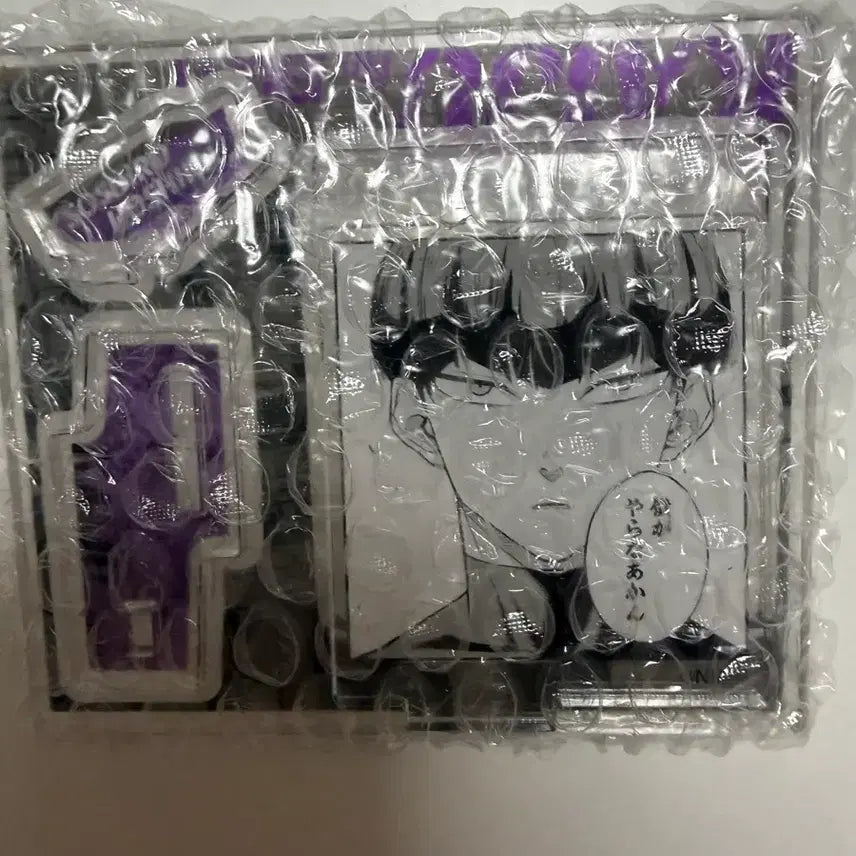 [BUNJANG] Kasu 8 Hoshina Acrylic Stand / 개봉)) 과수8호 호시나 아크릴 판매합니다!