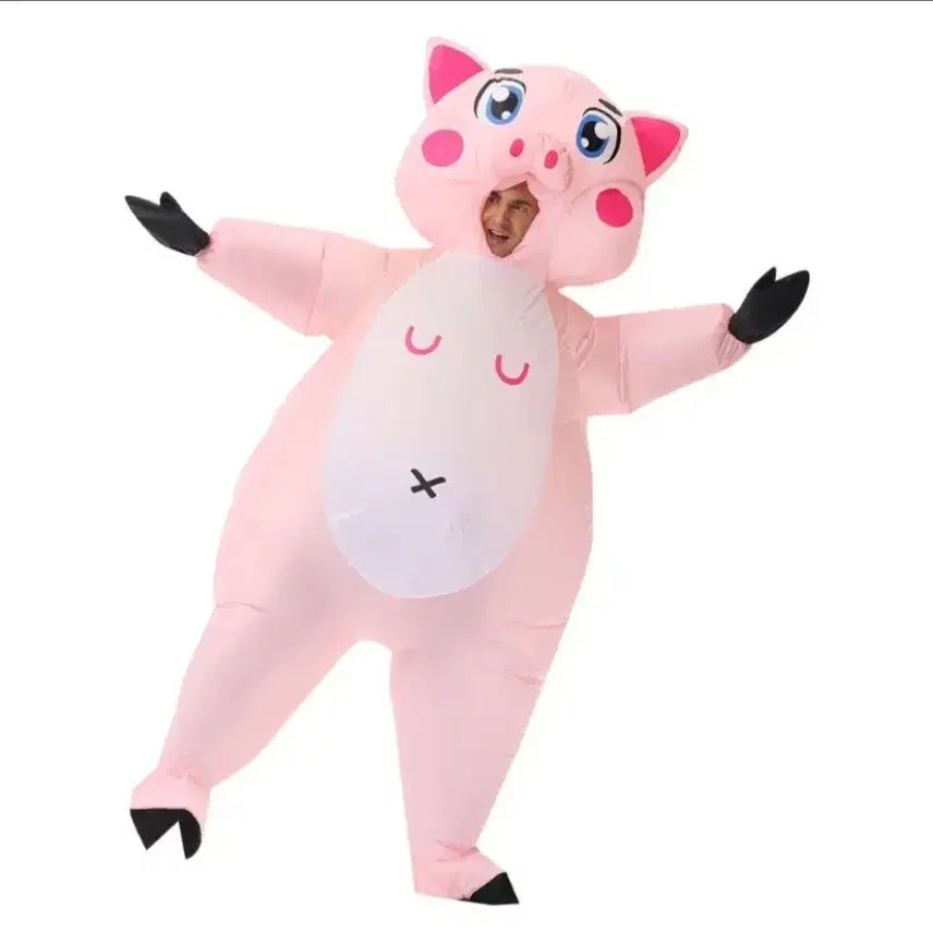 [BUNJANG] Graduation Photo Inflatable Pig Costume / 졸업사진 풍선돼지옷