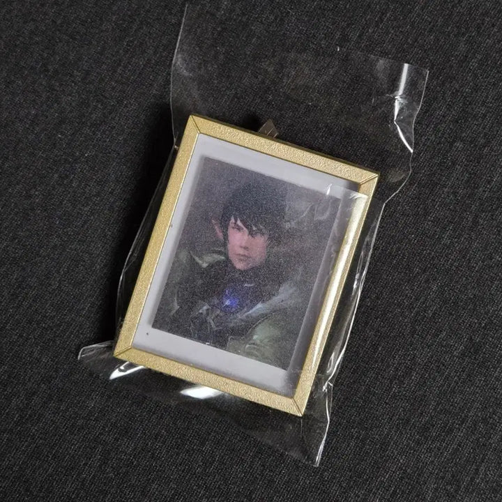 [BUNJANG] Final Fantasy Portrait Magnet Aymeric / 파이널판타지 초상화 마그넷 아이메리크