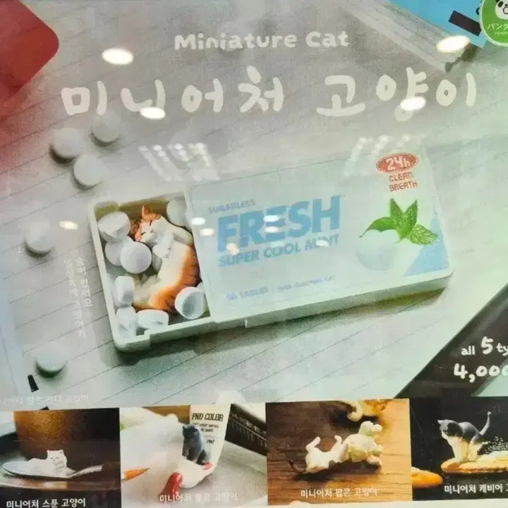 [BUNJANG] Miniature Cat Figure / 미니어쳐 고양이. 미니어처 물감 고양이