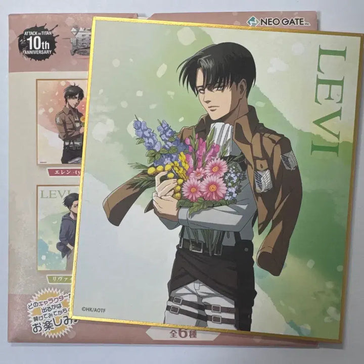[BUNJANG] Attack on Titan Levi Shikishi / 진격의 거인 리바이 색지