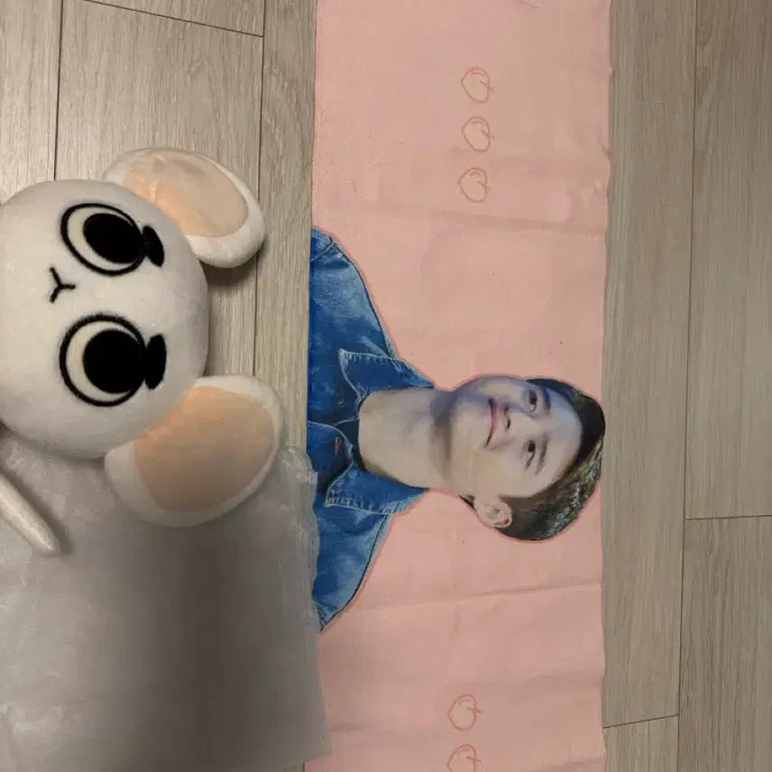 [BUNJANG] EXO D.O. Slogan and Doll Bundle / 엑소 디오 슬로건 및 인형
