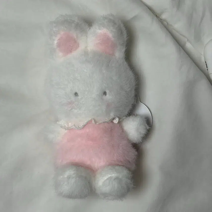[BUNJANG] Sanrio Shirofuwa Cheericharm Plush Doll / 산리오 시로후와 치어리참 인형