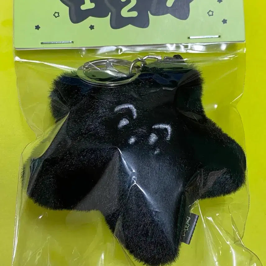 [BUNJANG] NCT Mark Markgasari Cushion &amp; Keyring Set / 엔시티 마크 맠가사리 쿠션 검정 맠가사리 키링