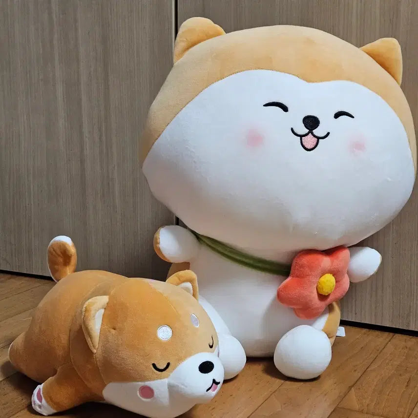 [BUNJANG] Mocchi Shiba Plush Set (Large 45cm Included) / 모찌시바 인형 2종 일괄판매 | 45cm 대형 포함 | 상태좋음