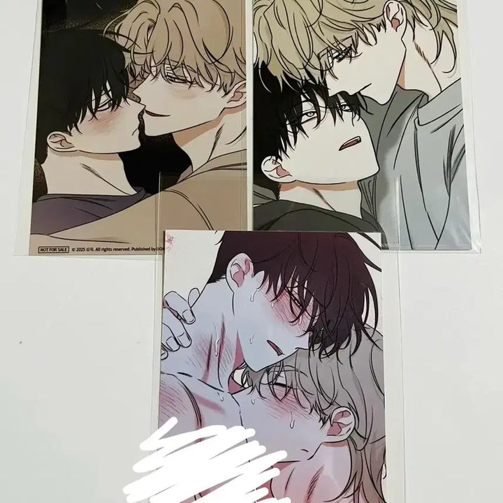 [SOLD OUT] 물밤 물가의밤 컬포 일괄 구매시 특전 인화사진 3종 덤