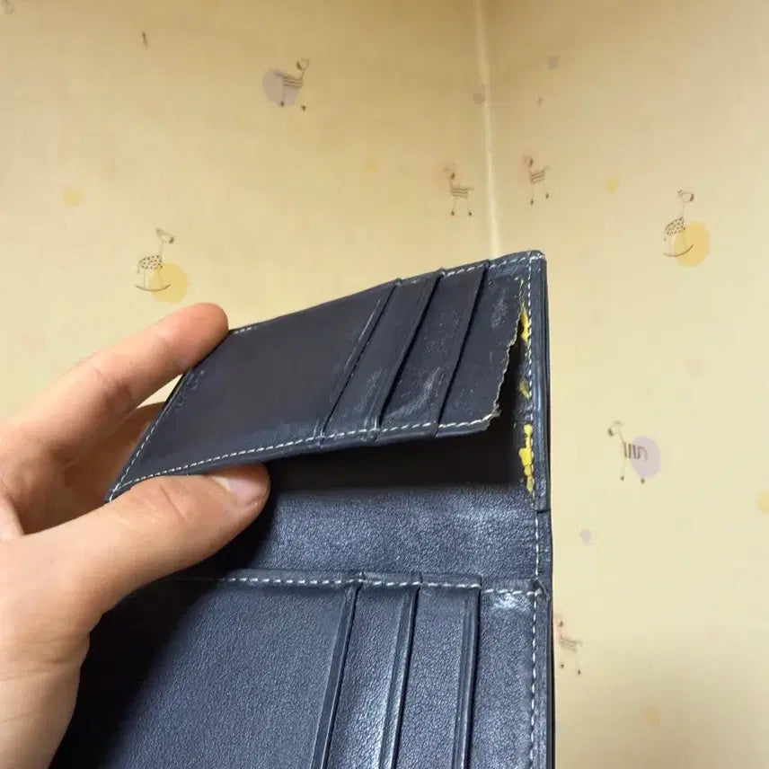 [BUNJANG] Goyard Organizer / 고야드 오거나이저