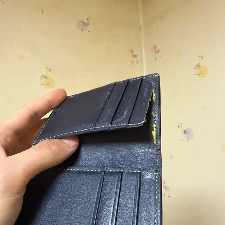 [BUNJANG] Goyard Organizer / 고야드 오거나이저