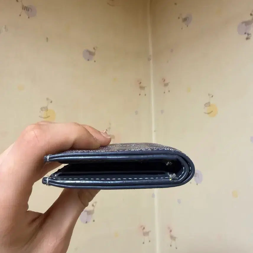 [BUNJANG] Goyard Organizer / 고야드 오거나이저