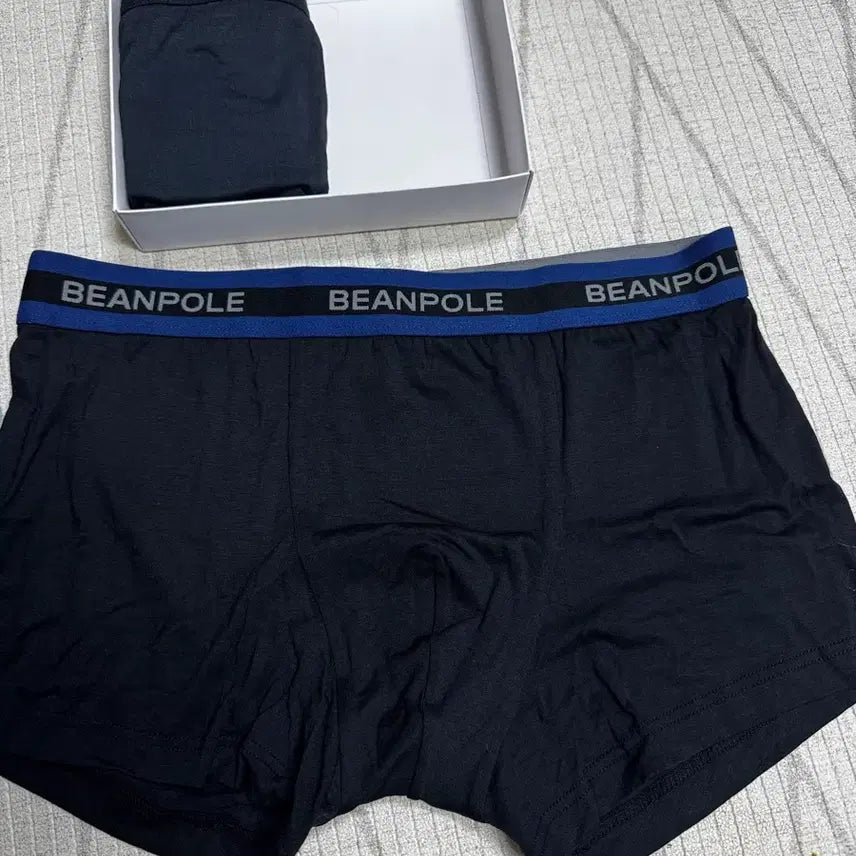 [BUNJANG] Beanpole Modal Underwear (2 Pieces) / 빈폴 모달 언더웨어 2장
