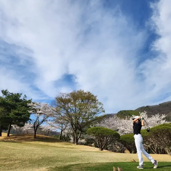 [BUNJANG] FootJoy Golf Shoes 225-230 with Golf Bag / 풋조이 골프화 225-230 가방까지