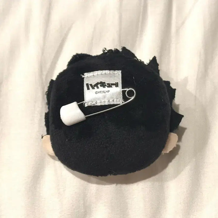 [SOLD OUT] [미개봉] 하이큐 쿠로오 메이구루미 일본 다이소 인형 키링 뱃지