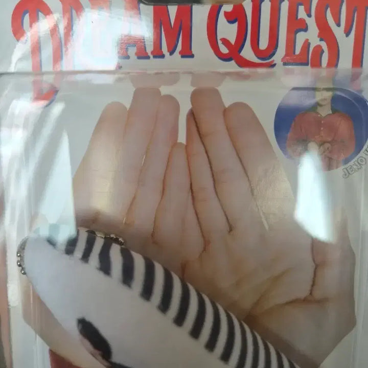 [BUNJANG] NCT Dream Jeno Dream Quest Doll / 엔시티드림 제노 드림퀘스트 인형 미개봉 양도