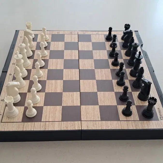 [BUNJANG] Myungin Magnetic Chess and Baduk Set / 명인 자석식 바둑 / 체스 (양면)