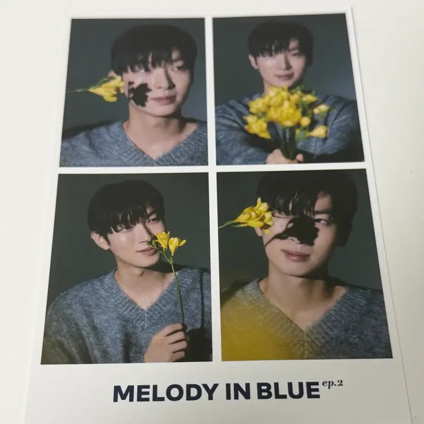 [BUNJANG] Park Kang Hyun Mel In The Blue Set / 박강현 멜인블 포카 엽서 브로슈어 세트