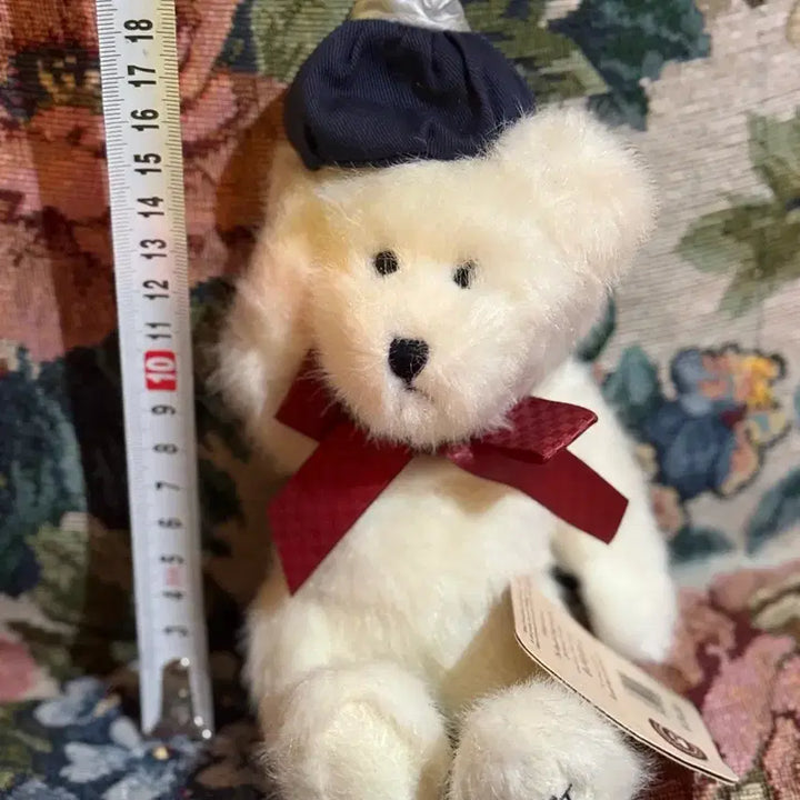 [BUNJANG] Boysbear White Bear Doll Gift / 보이즈베어 흰색 곰인형 쾌유 기원 선물