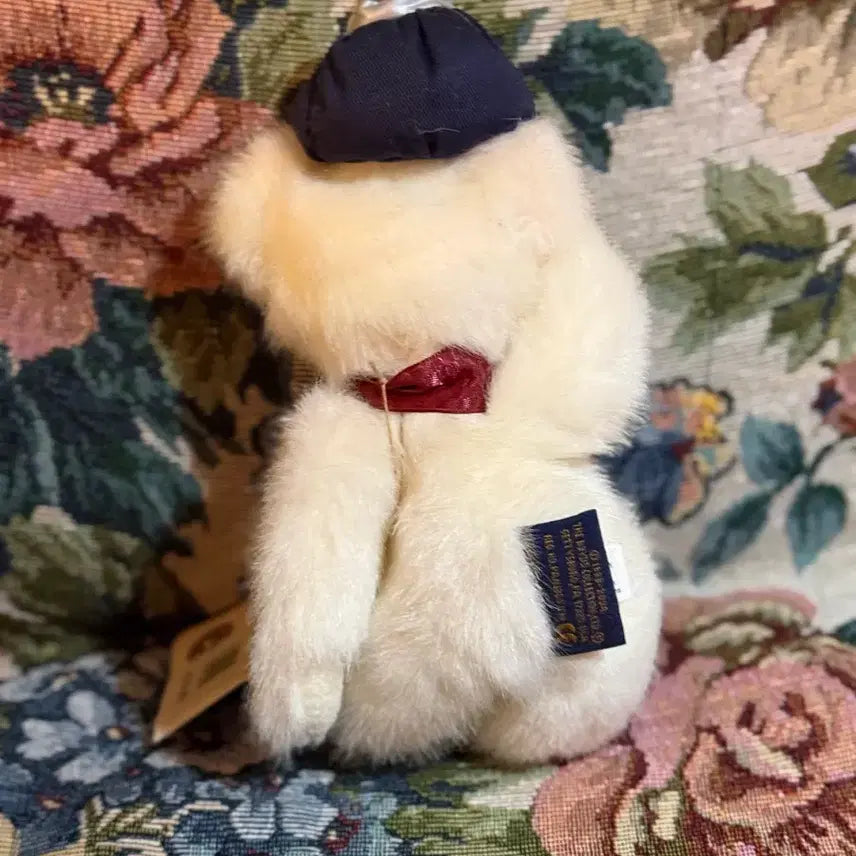 [BUNJANG] Boysbear White Bear Doll Gift / 보이즈베어 흰색 곰인형 쾌유 기원 선물