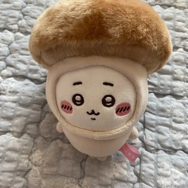 [SOLD OUT] 먼작귀 우사기 하치와레 모몽가 치이카와 할로윈 버섯 인형