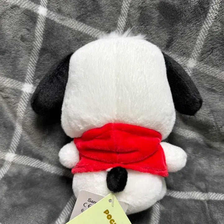 [BUNJANG] Sanrio Pochacco S-Size Plush Doll / 포차코 S 사이즈 인형