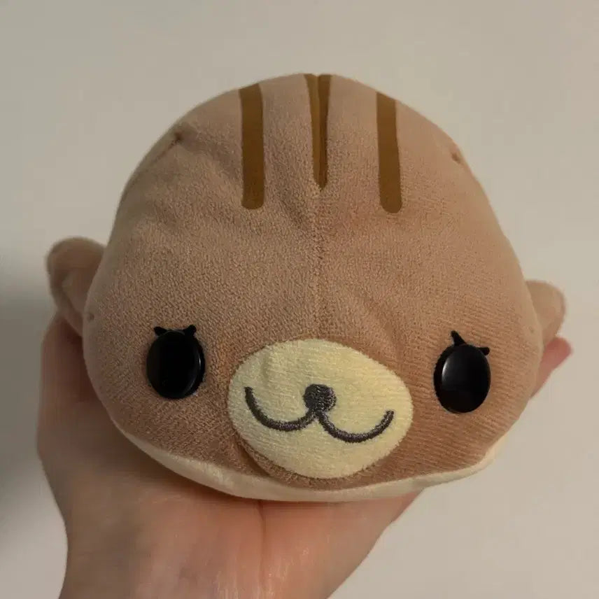 [BUNJANG] San-X Shima-Goma Choco Mamegoma Plush Toy / 고전산엑스 시마고마 초코 마메고마 인형 눈썹마메고마 테노리