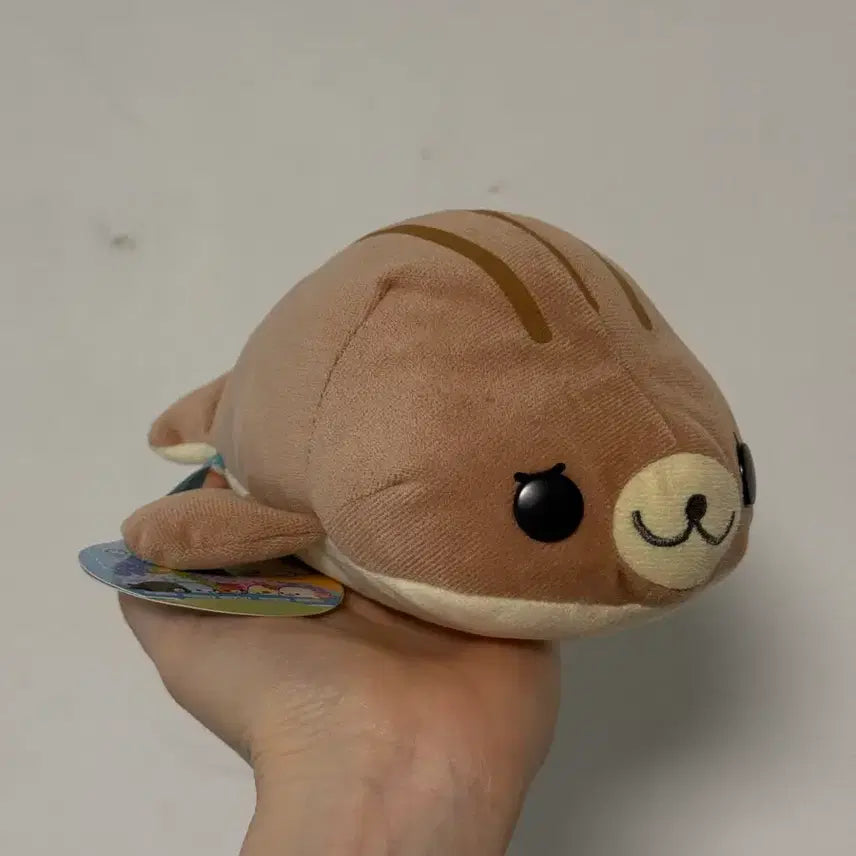 [BUNJANG] San-X Shima-Goma Choco Mamegoma Plush Toy / 고전산엑스 시마고마 초코 마메고마 인형 눈썹마메고마 테노리