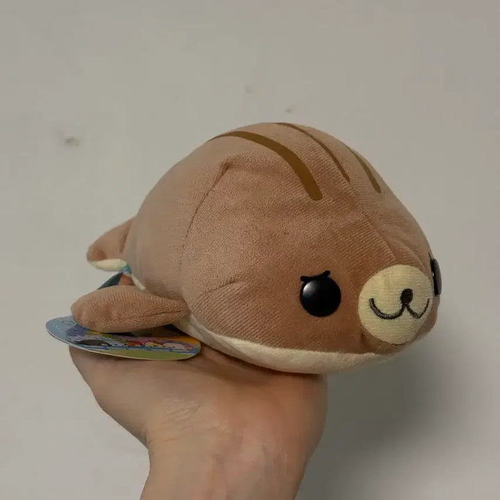 [BUNJANG] San-X Shima-Goma Choco Mamegoma Plush Toy / 고전산엑스 시마고마 초코 마메고마 인형 눈썹마메고마 테노리
