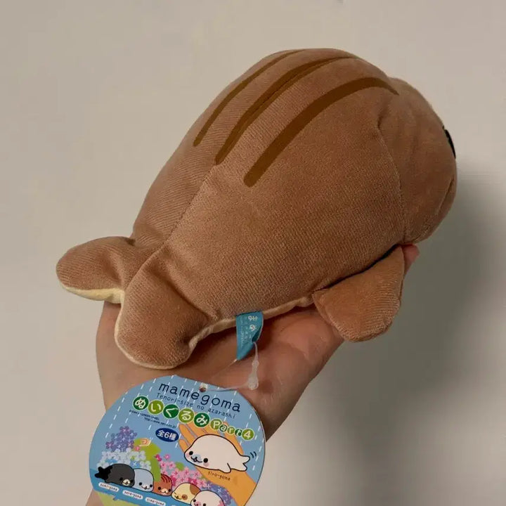 [BUNJANG] San-X Shima-Goma Choco Mamegoma Plush Toy / 고전산엑스 시마고마 초코 마메고마 인형 눈썹마메고마 테노리