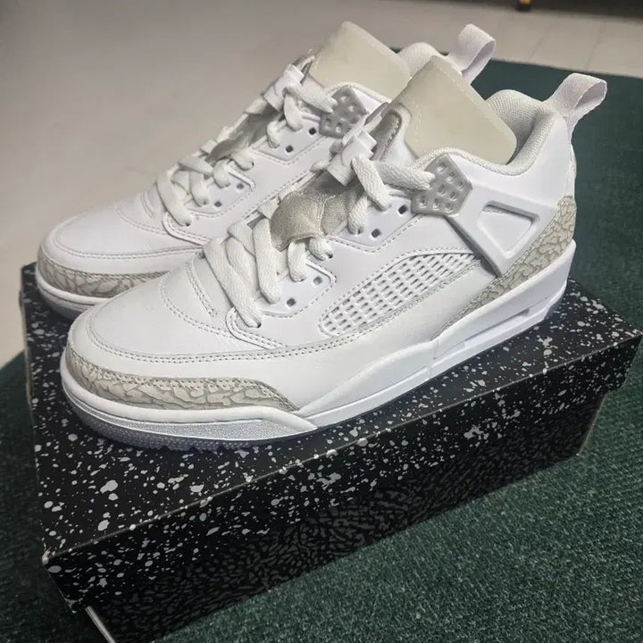 [BUNJANG] Nike Jordan Spizike Low Sneakers 260 / 나이키 조던 스파자이크 로우 260