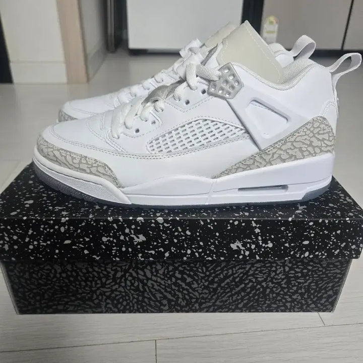 [BUNJANG] Nike Jordan Spizike Low Sneakers 260 / 나이키 조던 스파자이크 로우 260