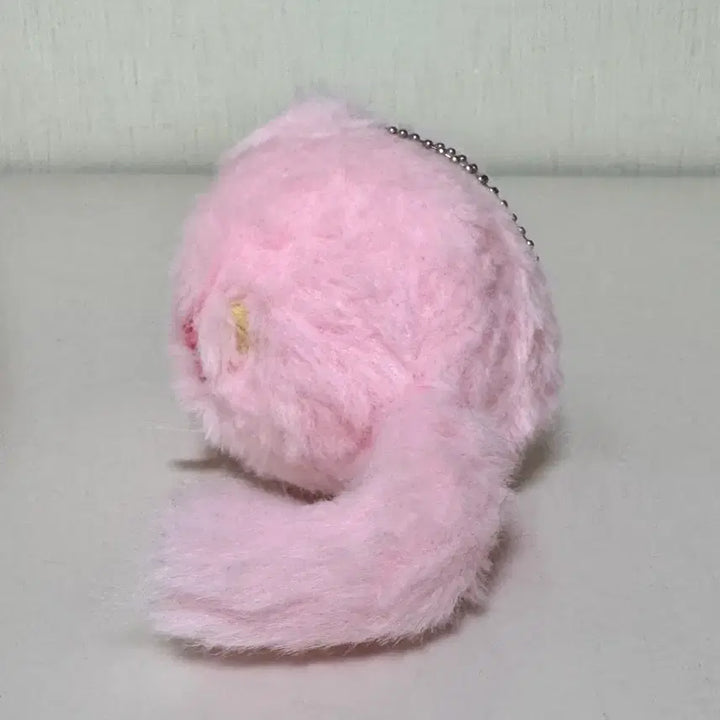 [BUNJANG] Bocchi the Rock Kita Ikuyo Harunyanko Plush Doll / 봇치더락 키타 이쿠요 하루냥코 타피누이 인형 누이