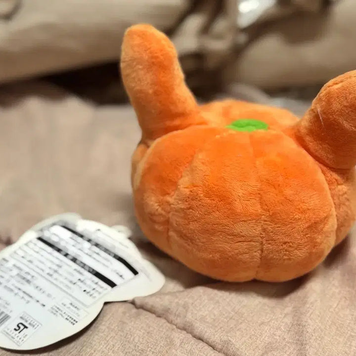 [BUNJANG] Pokemon 2015 Halloween Pikachu Plush Doll / 2015 할로윈 피카츄