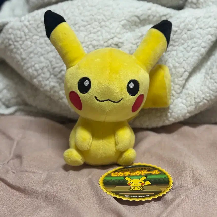 [BUNJANG] Super Secret Base Pikachu Plush Doll / 2015 슈퍼비밀기지의 피카츄 인형