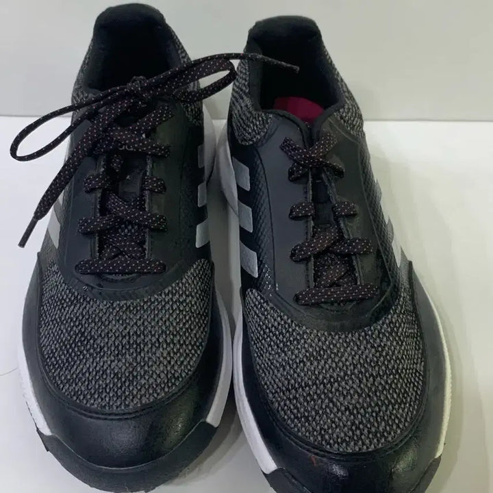 [BUNJANG] Adidas Golf Shoes 240 New / 아디다스 골프화 240 새상품