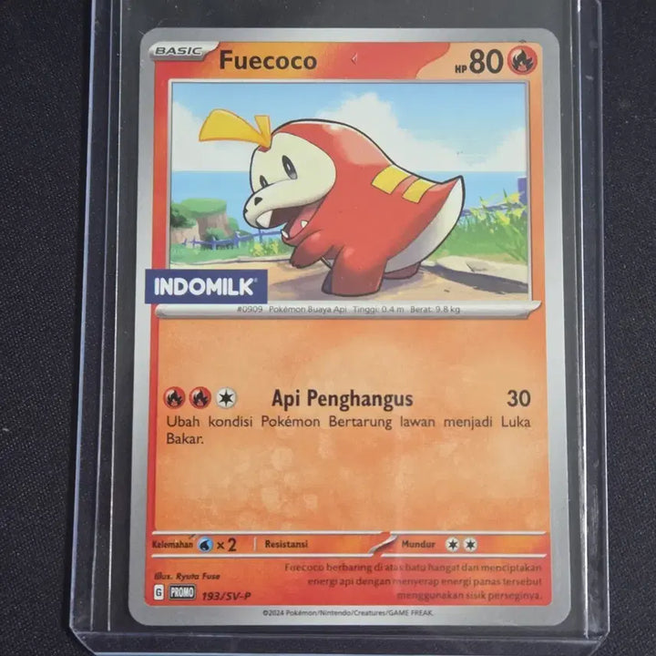 [BUNJANG] Pokemon TCG Scorching Chimchar Indian Milk Promo Card / [포켓몬 카드] 뜨아거 인도밀크 프로모