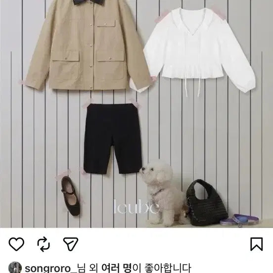 [BUNJANG] Leve Shop Niel Blouse / 르베샵 니엘블라우스