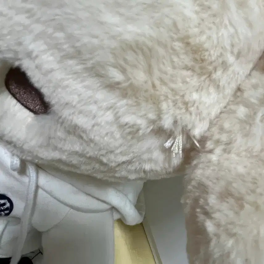 [SOLD OUT] 엔시티 제노 40cm 인형 왕쩬