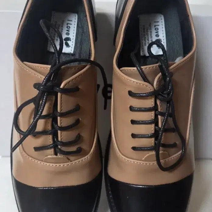 [BUNJANG] Color Block Lace Loafers / 배색 끈 로퍼((새상품))