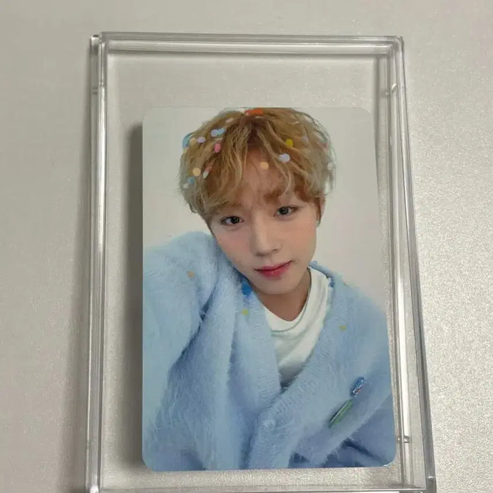 [SOLD OUT] 박지훈 2025 생일 카페 birthday boy 밀크글라스 포카