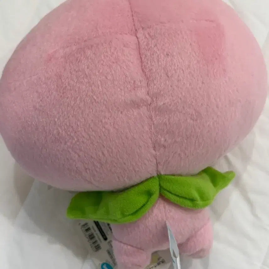 [BUNJANG] San-X Mikang Bouya Peach Doll / 고전 산엑스 미캉보우야 복숭아 인형