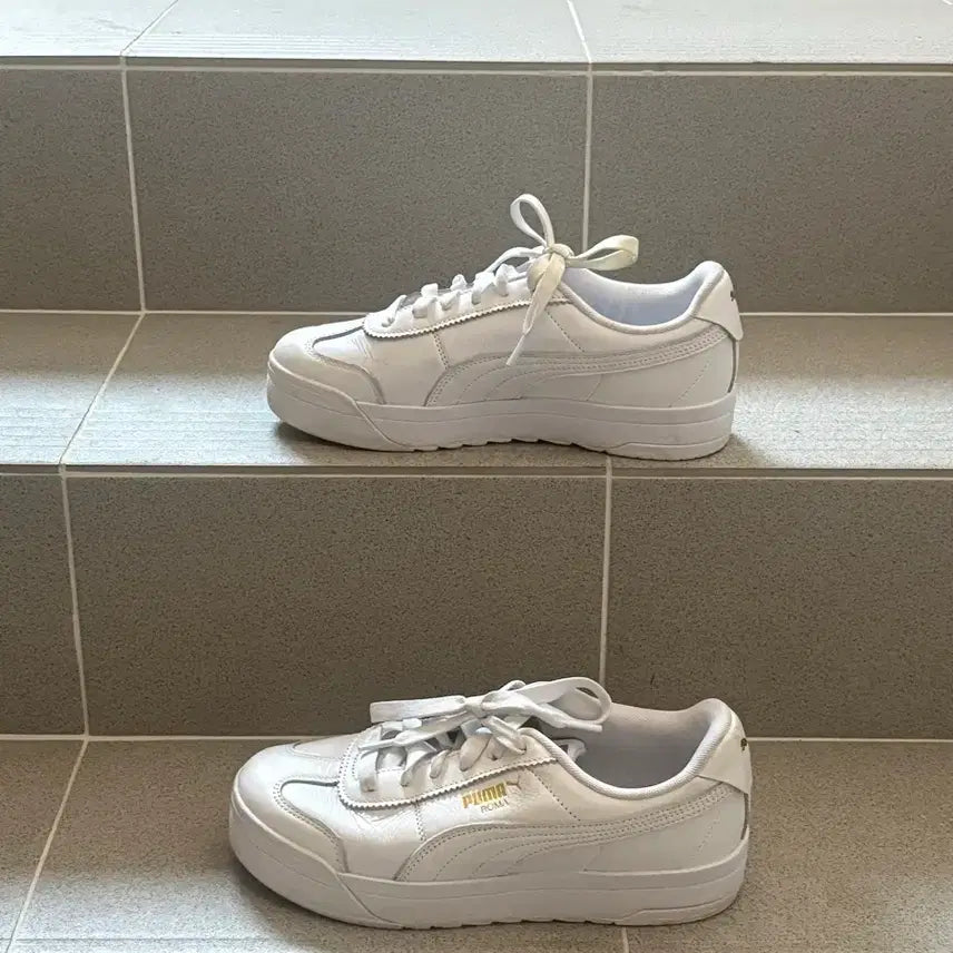 [SOLD OUT] 푸마 퓨처 라이더 245 화이트