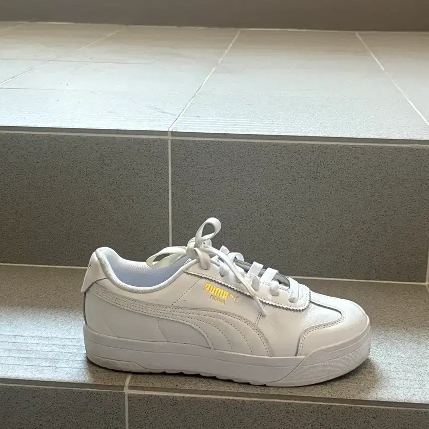 [SOLD OUT] 푸마 퓨처 라이더 245 화이트