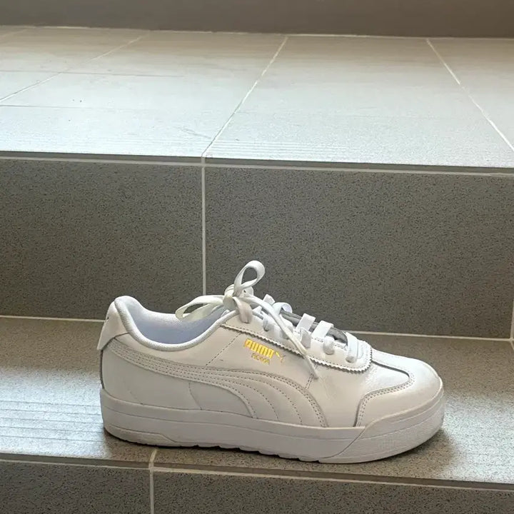 [SOLD OUT] 푸마 퓨처 라이더 245 화이트