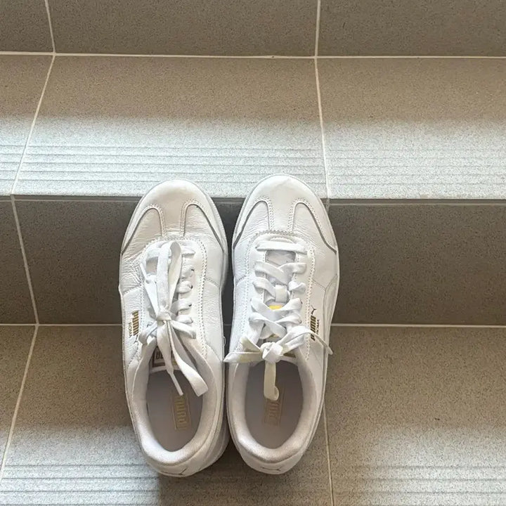 [SOLD OUT] 푸마 퓨처 라이더 245 화이트