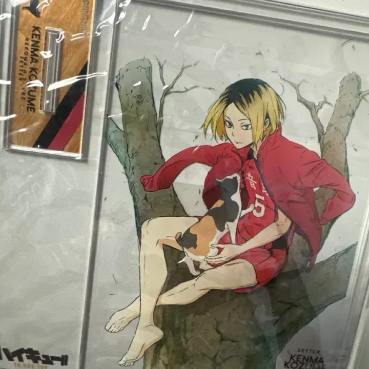 [BUNJANG] Haikyu Kenma Barefoot Acrylic Stand / 하이큐 미개봉 켄마 맨발 아크릴 판매합니당