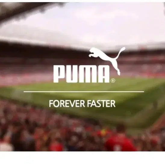 [BUNJANG] Puma Tracksuit Set / PUMA115새제품택부착미개봉 상하의세트 110간절기 트랙수트